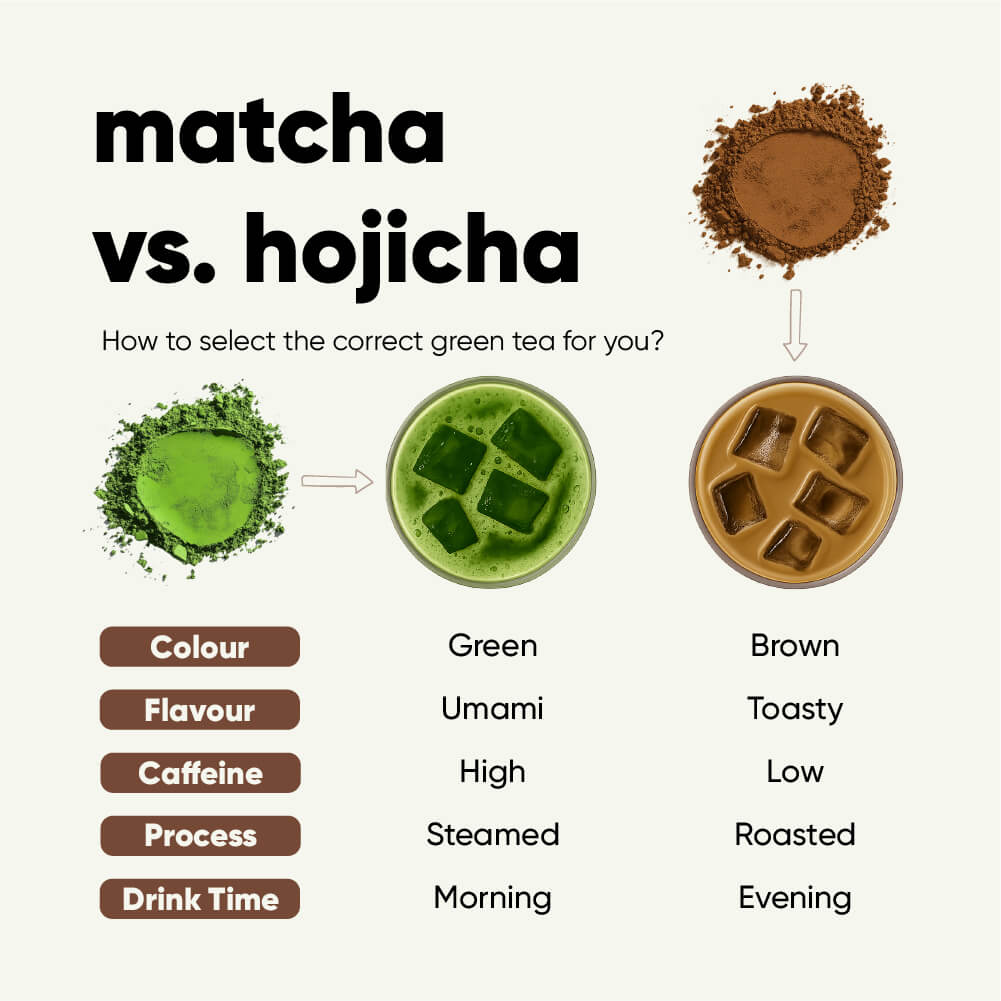 High Grade Hojicha | 25g Jar | Spring Harvest | Elite Grade