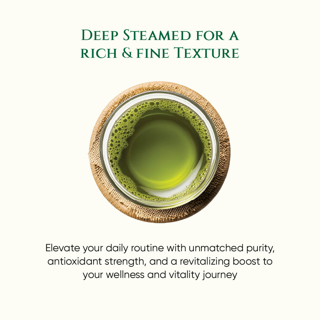 Japanese Sencha Tea | Elite Grade | Green Tea | Spring Harvest | Deep Steamed