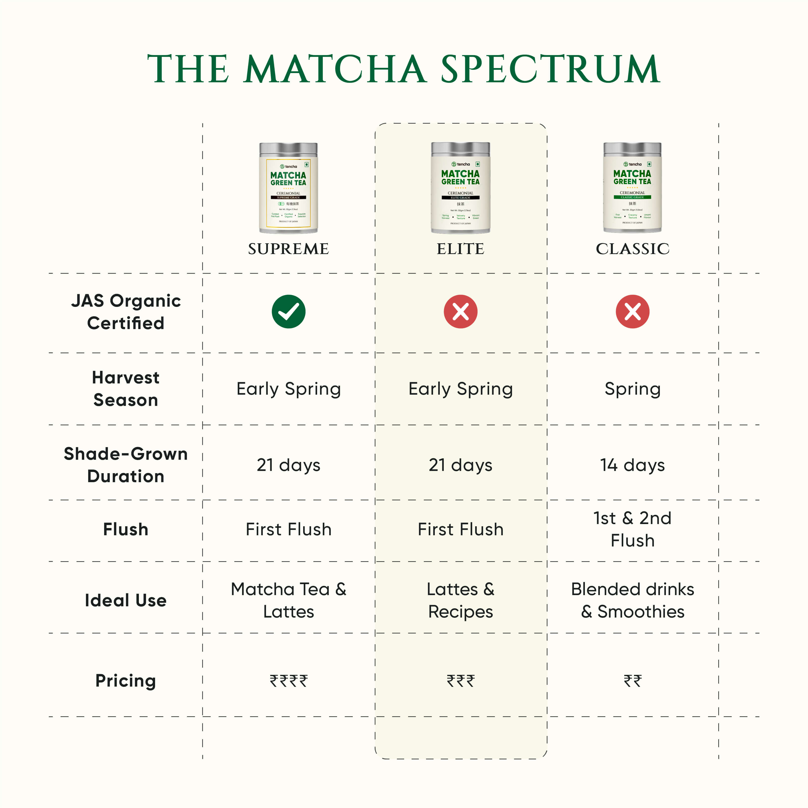 Ceremonial Elite Grade Matcha | Superior Grade Matcha | Japanese Matcha Green Tea | Spring Harvest