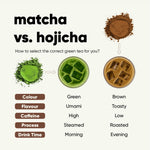 High Grade Hojicha | 25g Jar | Spring Harvest | Elite Grade