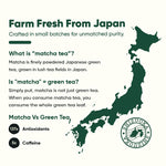 Matcha Green Tea | Select Grade