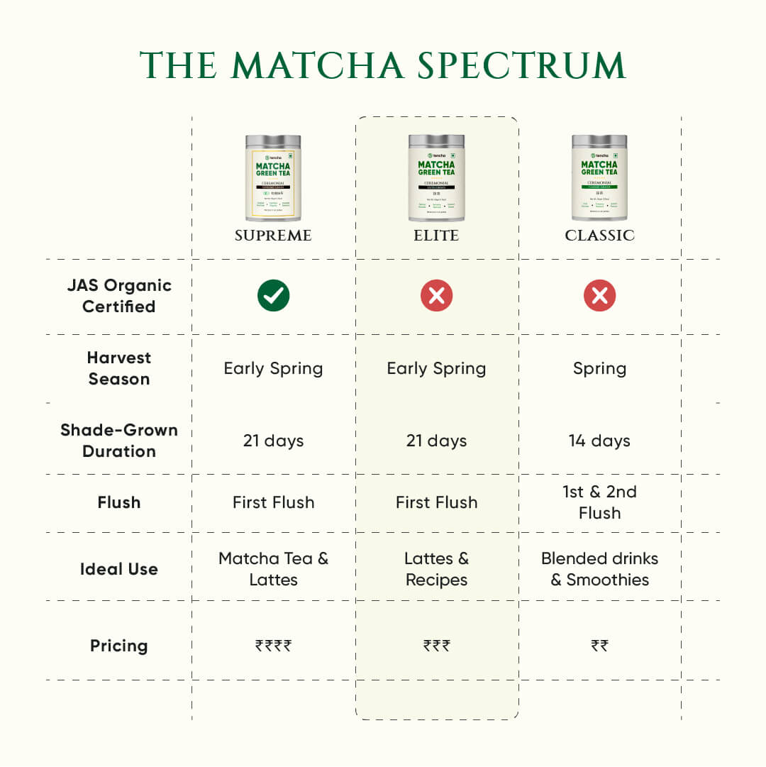 Ceremonial Elite Grade Matcha | Superior Grade Matcha | Japanese Matcha Green Tea | Spring Harvest